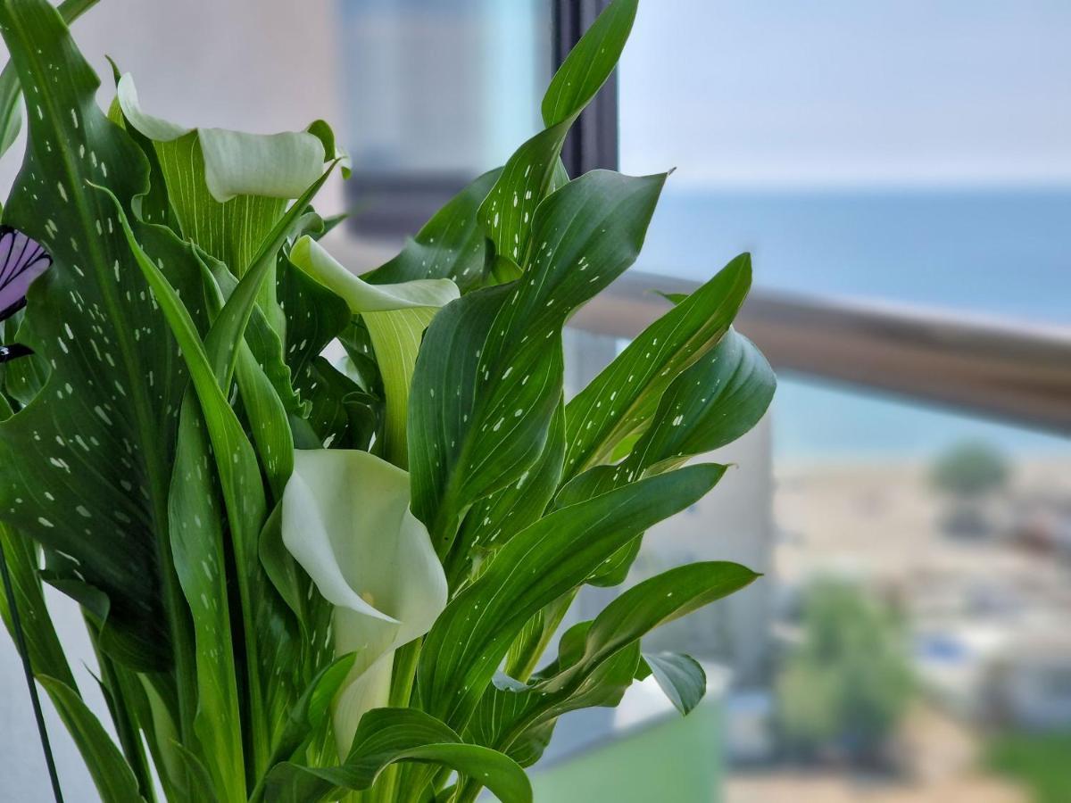 Panoramic Aparthotel Pool & Spa Mamaia Nord Năvodari Eksteriør bilde